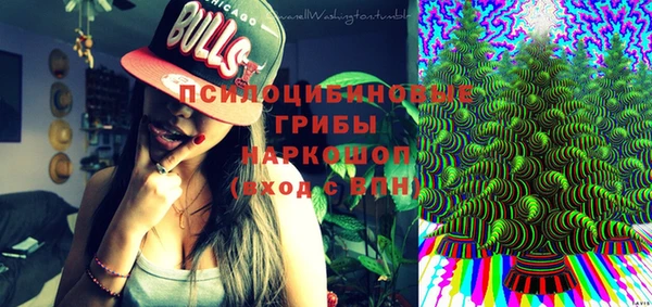 2c-b Иннополис