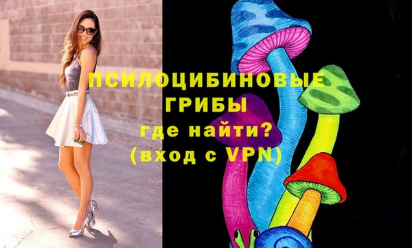 альфа пвп Инта