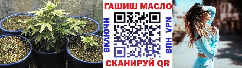 Купить где  Мариинский Посад  Дистиллят ТГК гашишное масло 