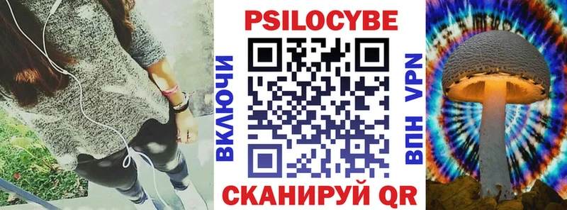 Купить где  Мариинский Посад  Галлюциногенные грибы Psilocybe 